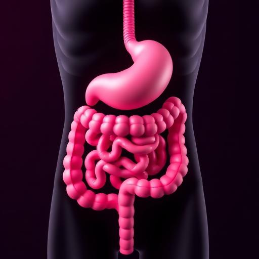 Functional Gastroenterology Quick Start